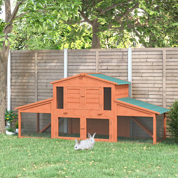 Tucker Murphy Pet™ Hanish 18.33 Square Feet Chicken Coop with Chicken
